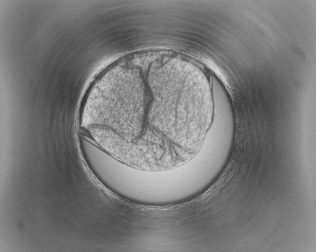 X0000115371088200912151414