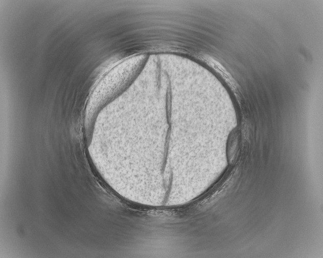 X0000115371089200912151414