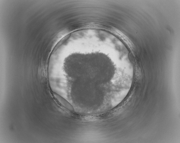 X0000115371097200912151414