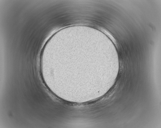 X0000115371099200912151414