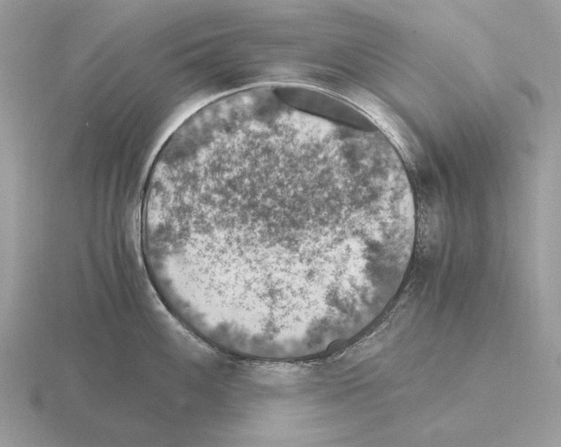 X0000115371100200912151414