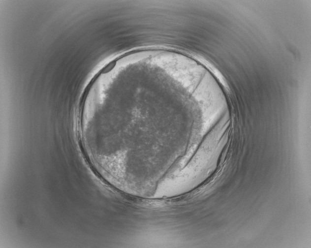 X0000115371101200912151414