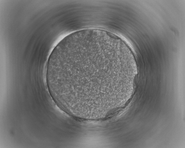 X0000115371102200912151414