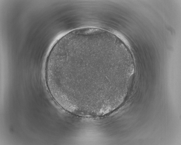 X0000115371104200912151414