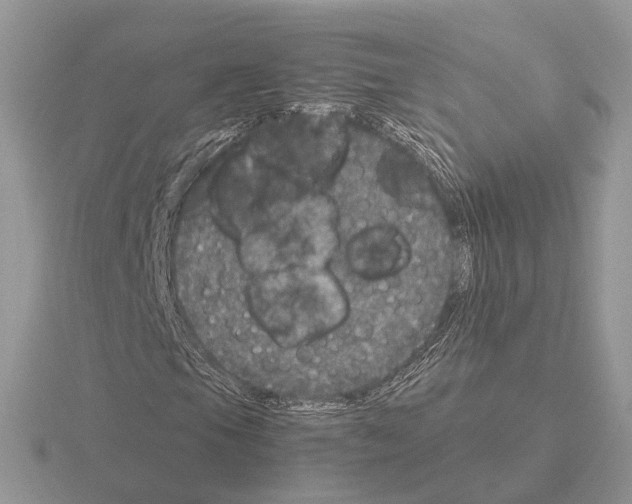 X0000115371105200912151413