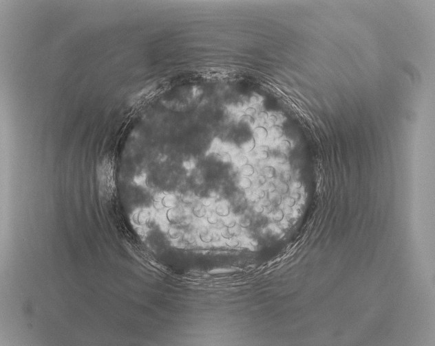 X0000115371106200912151413