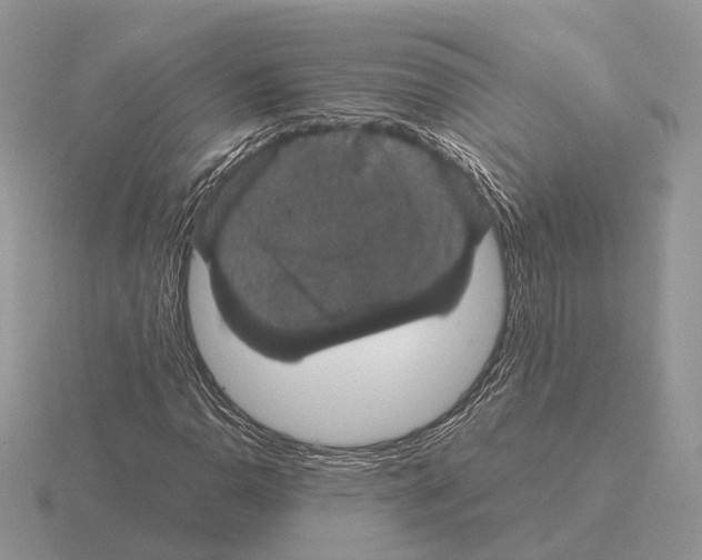 X0000115371110200912151413