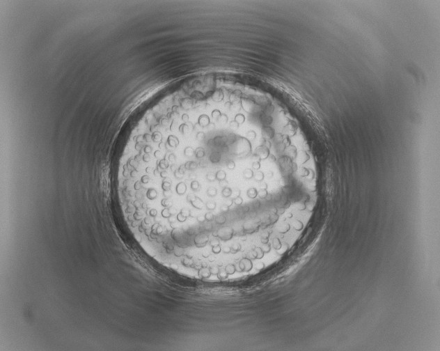 X0000115371113200912151413