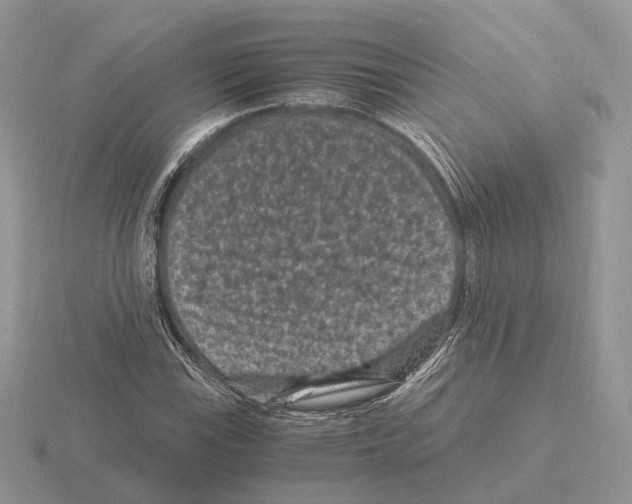 X0000115371115200912151413