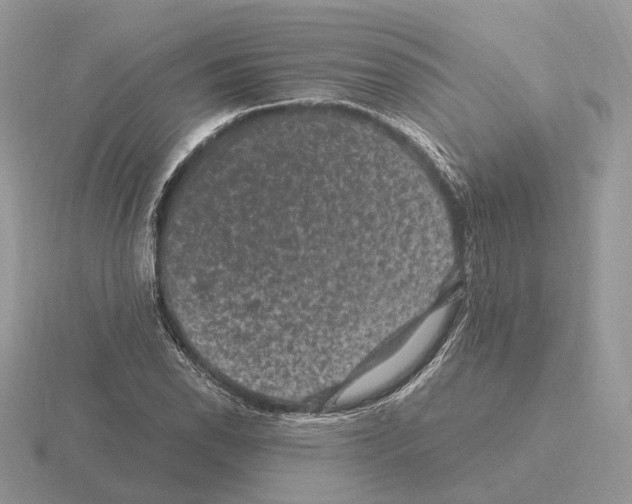 X0000115371118200912151413