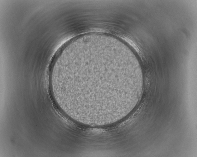 X0000115371119200912151413