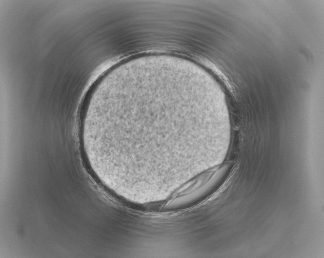 X0000115371122200912151413