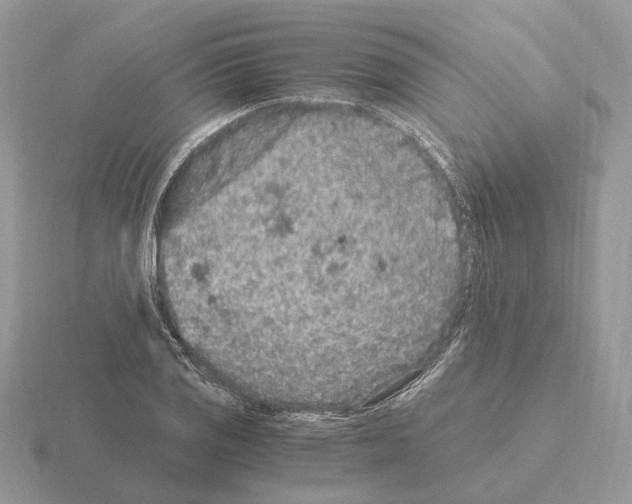 X0000115371125200912151413