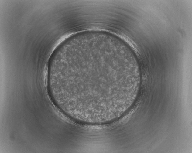 X0000115371126200912151413