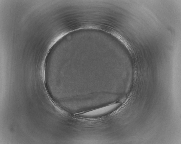 X0000115371127200912151413