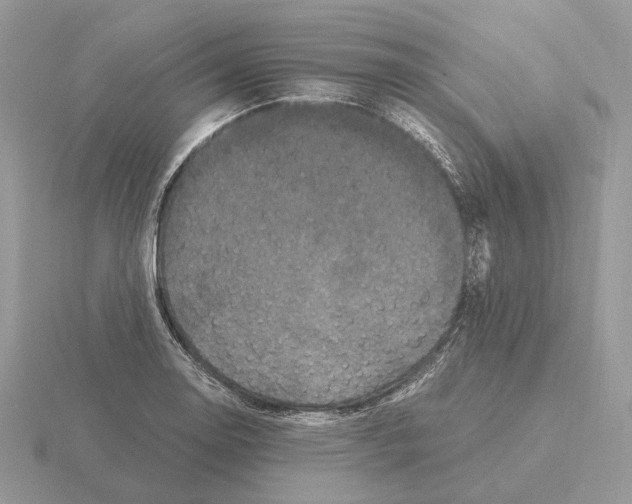 X0000115371130200912151413