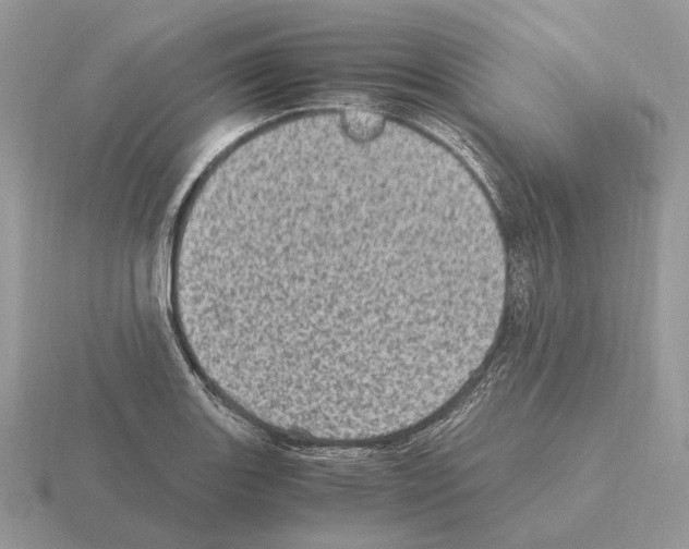 X0000115371131200912151413