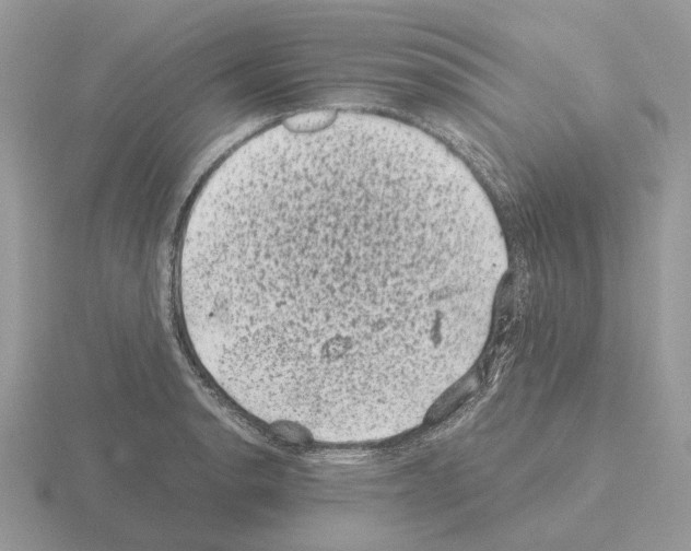 X0000115371134200912151413