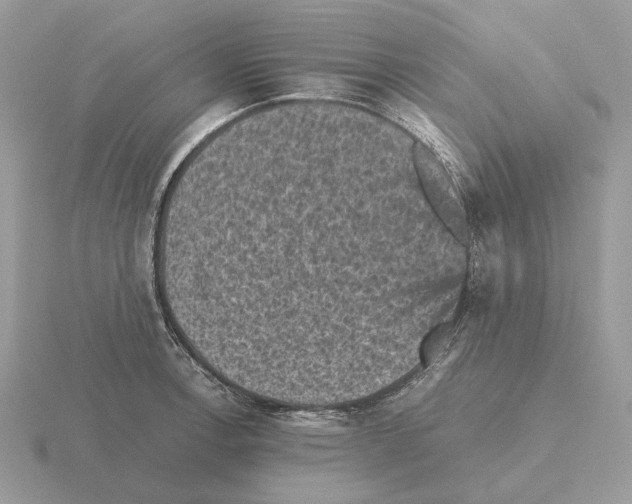 X0000115371138200912151413