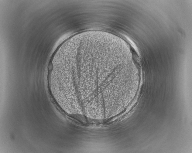 X0000115371146200912151414