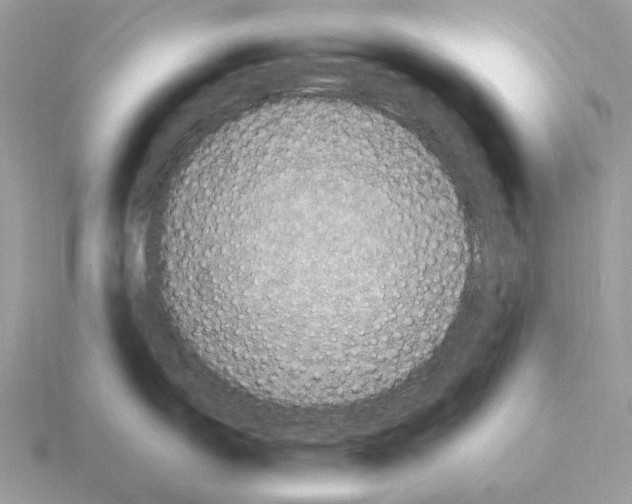 X0000115371150200912151414