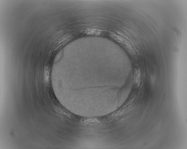 X0000115371154200912151413