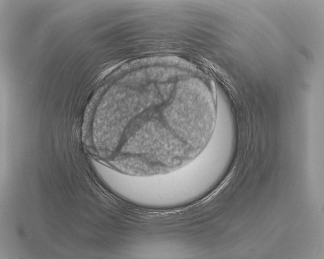 X0000115371161200912151413