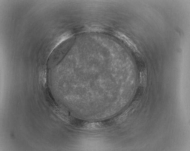 X0000115371165200912151413