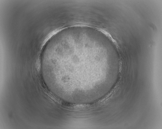 X0000115371167200912151413