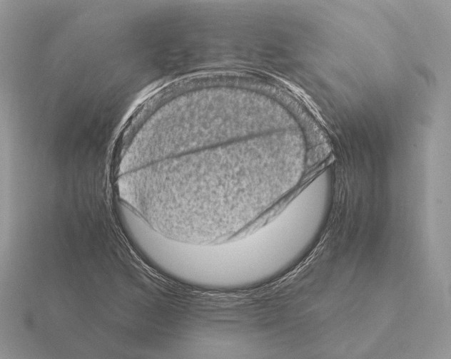 X0000115371168200912151413