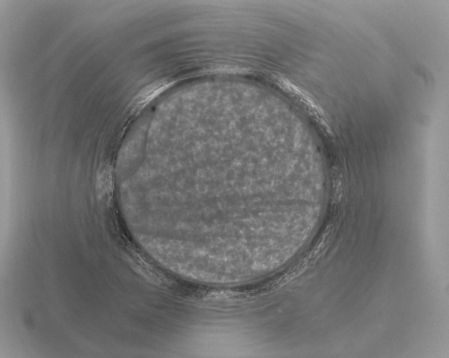 X0000115371169200912151413