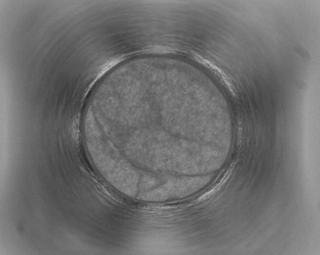 X0000115371170200912151413