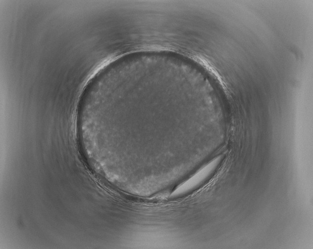 X0000115371173200912151413