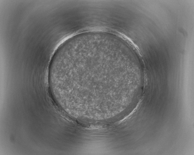 X0000115371174200912151413