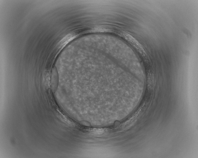 X0000115371177200912151413