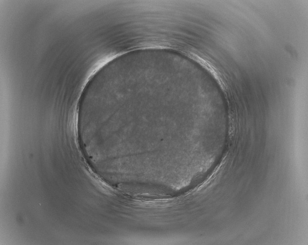 X0000115371179200912151413