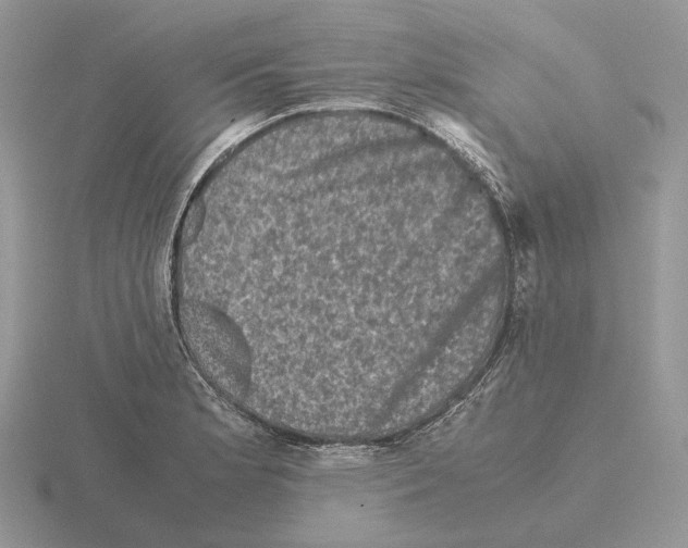 X0000115371181200912151413