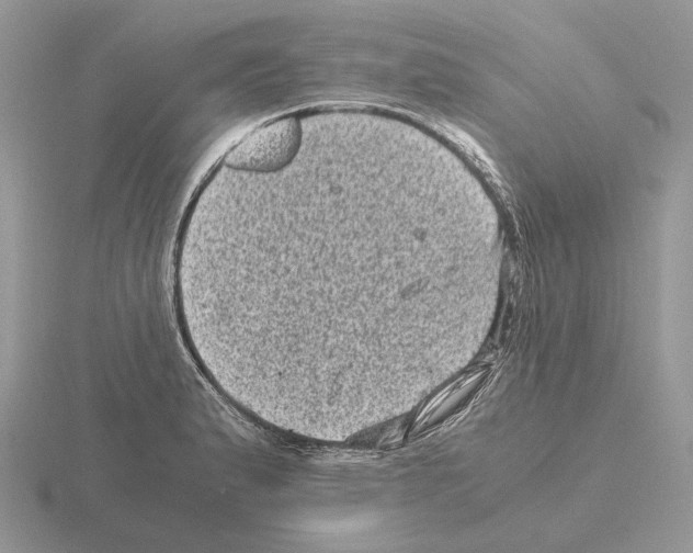 X0000115371183200912151413