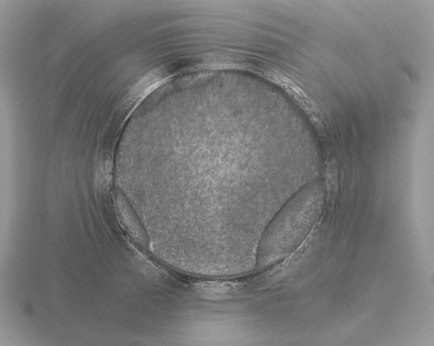 X0000115371185200912151413