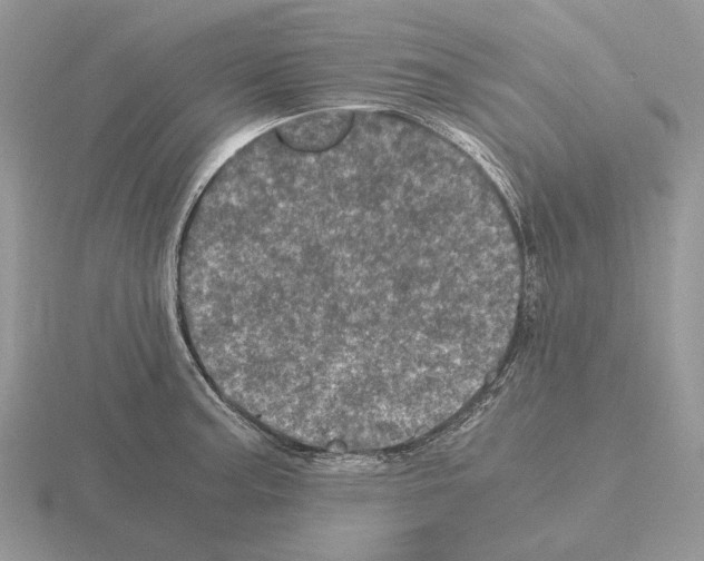 X0000115371187200912151413