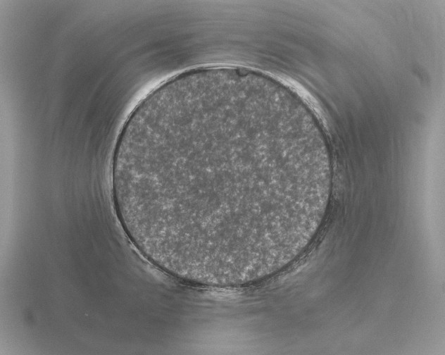 X0000115371191200912151412