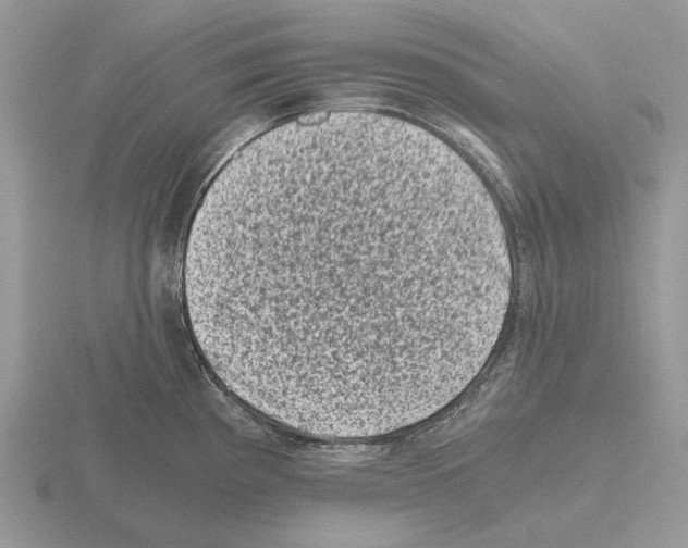 X0000115371193200912151412