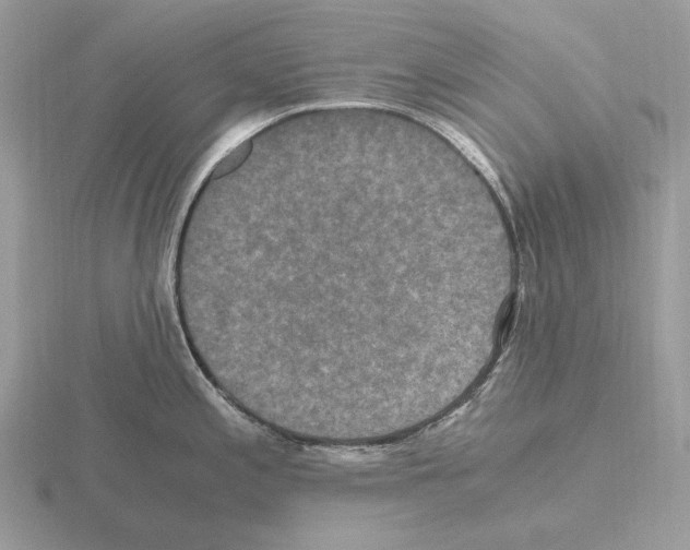 X0000115371197200912151412