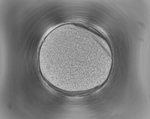 X0000115371200200912151412