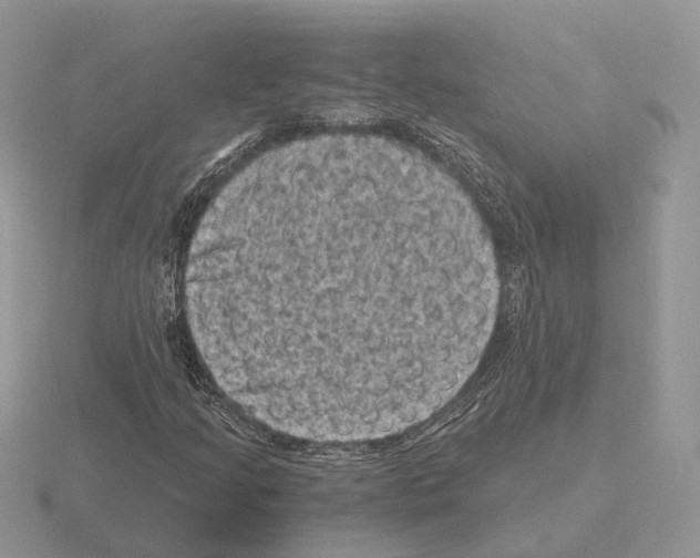 X0000115371205200912151412