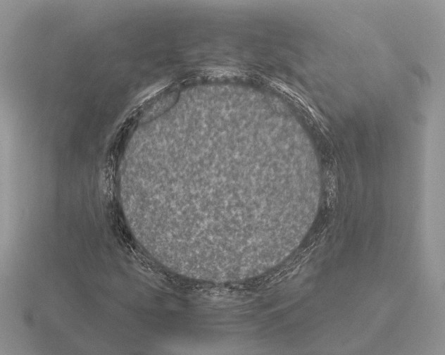 X0000115371207200912151412