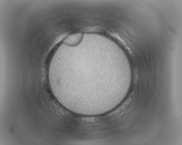 X0000115371211200912151412