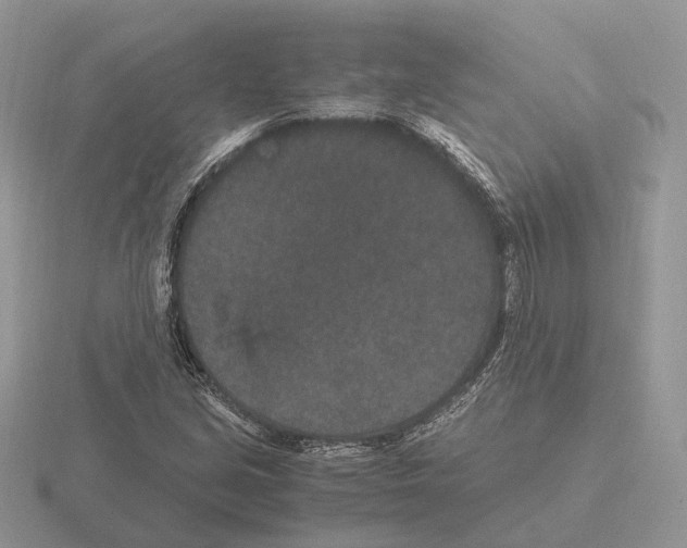 X0000115371213200912151412