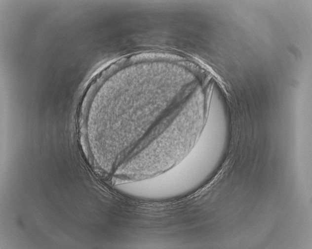 X0000115371215200912151412