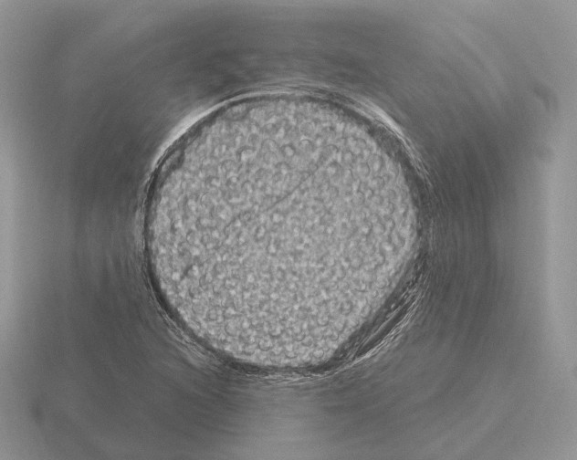 X0000115371216200912151412